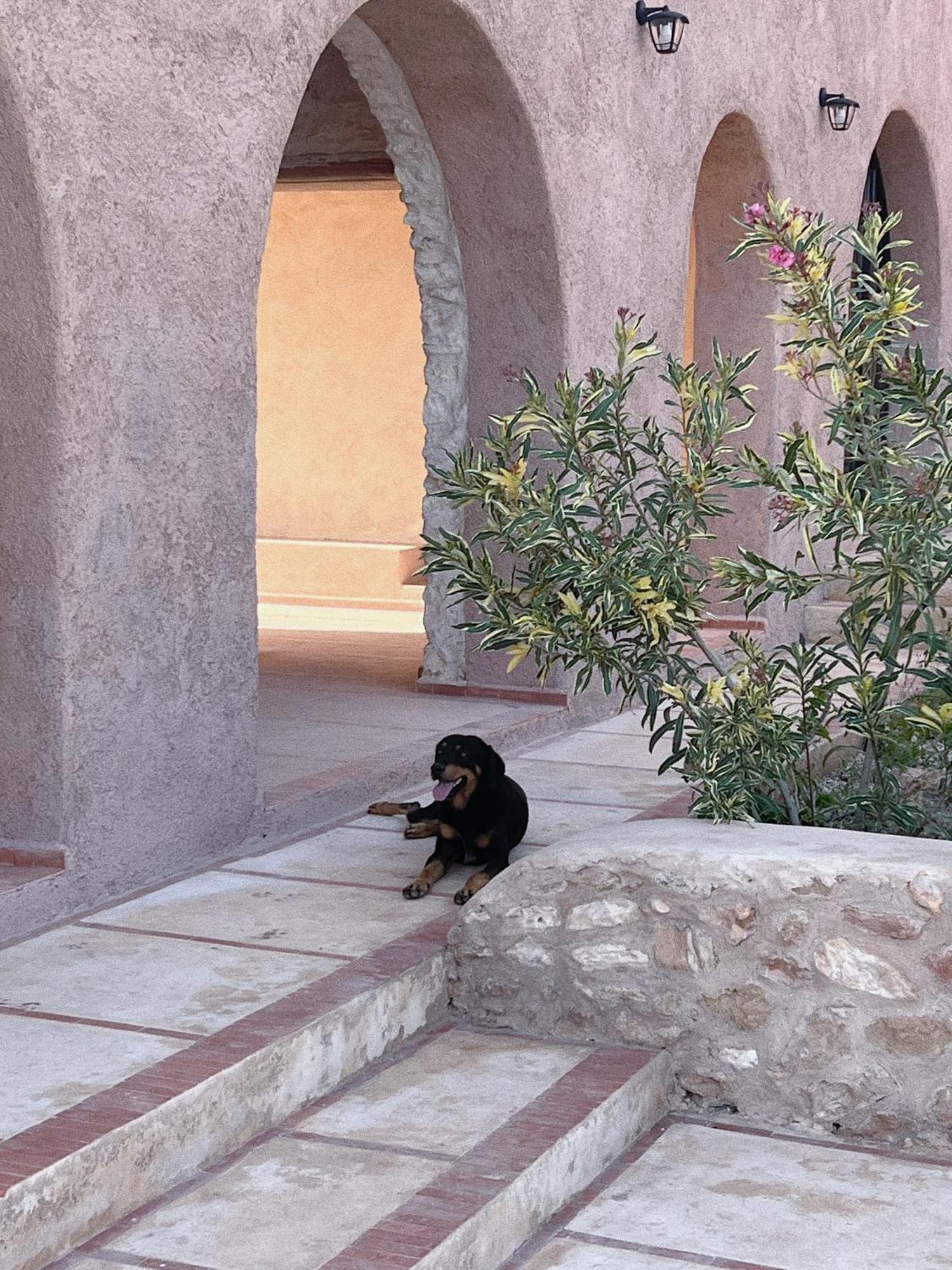 Dar Omnia Hotell Essaouira Eksteriør bilde